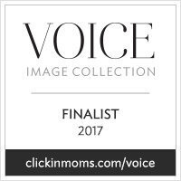 2017voicecollection_finalist_badge