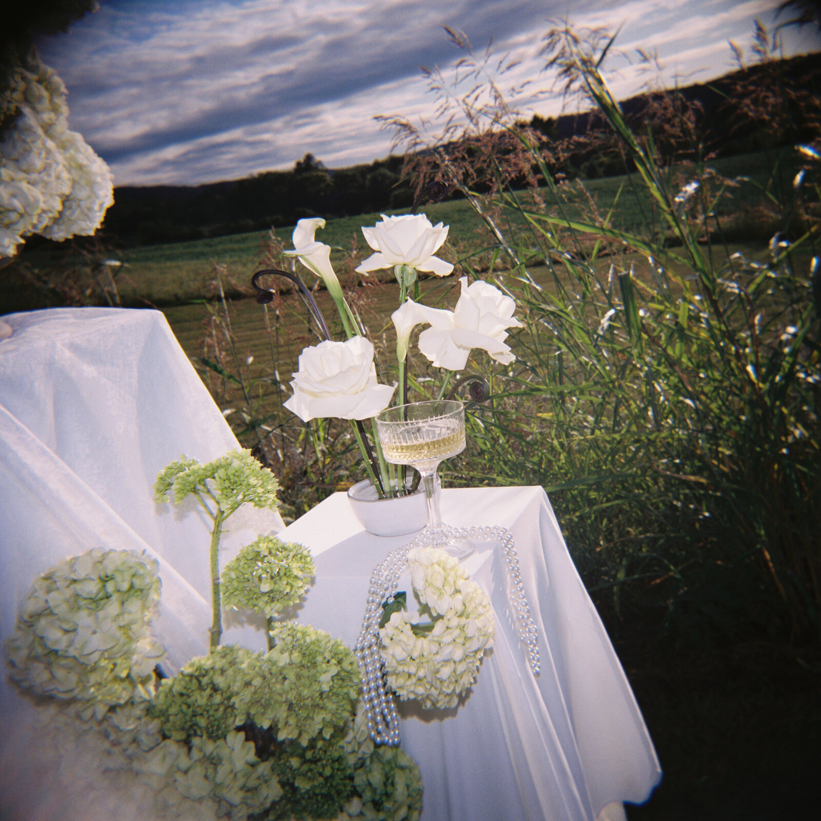 KIERRAFISKEPHOTO-PEARL&POPPY-8-3