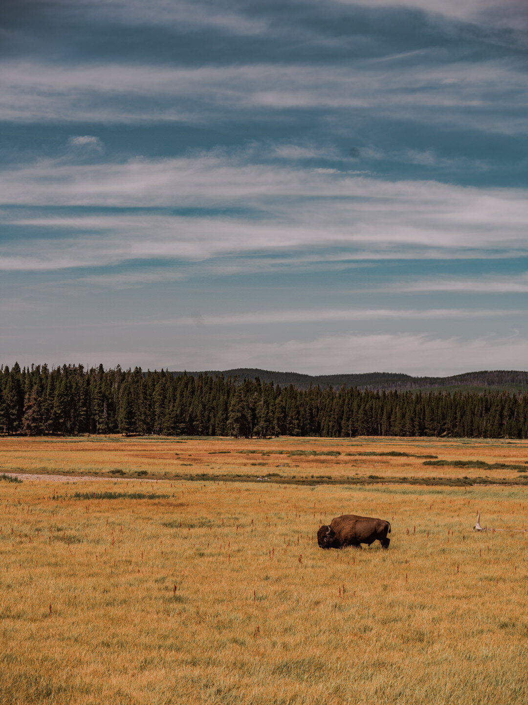 Resolute Territory - Landscape Fine Art Prints - 17