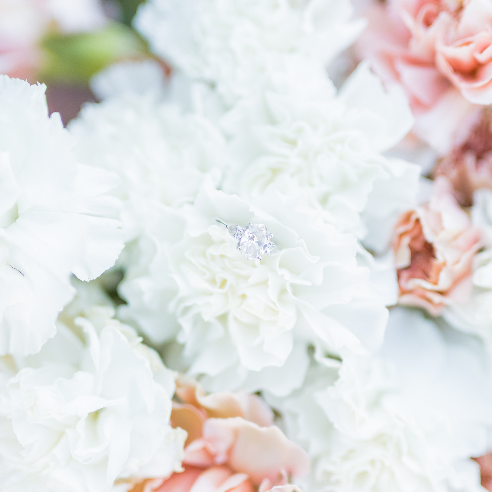 Kelsey Alex Photography Tennessee Wedding Photographer