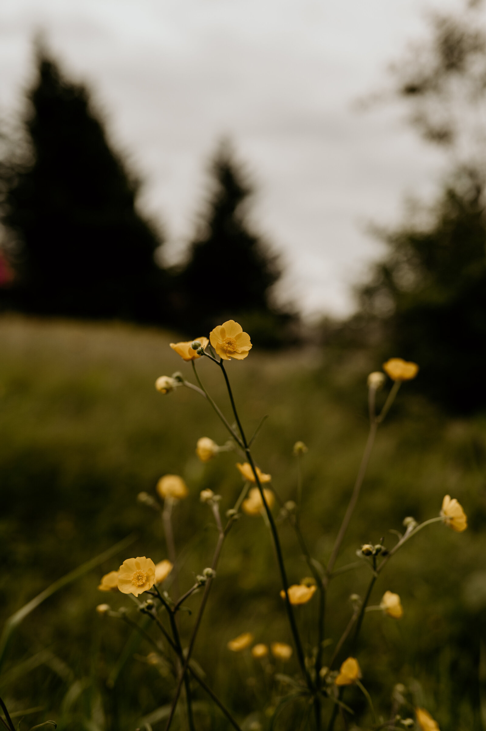 DSC_0091
