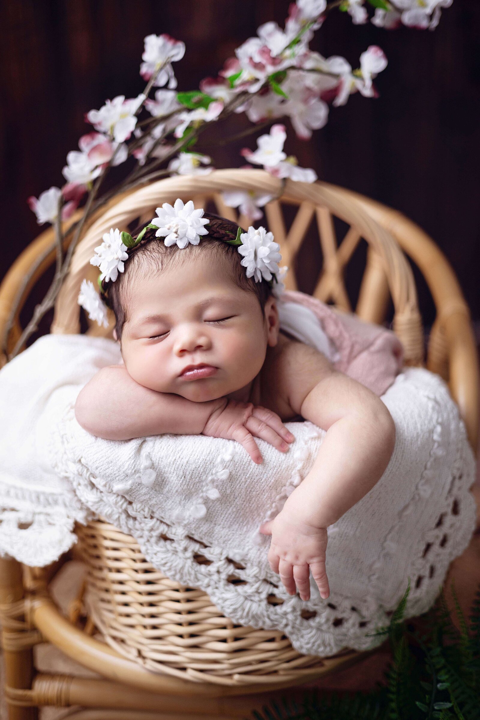 edmonton_newborn_ photographer 43