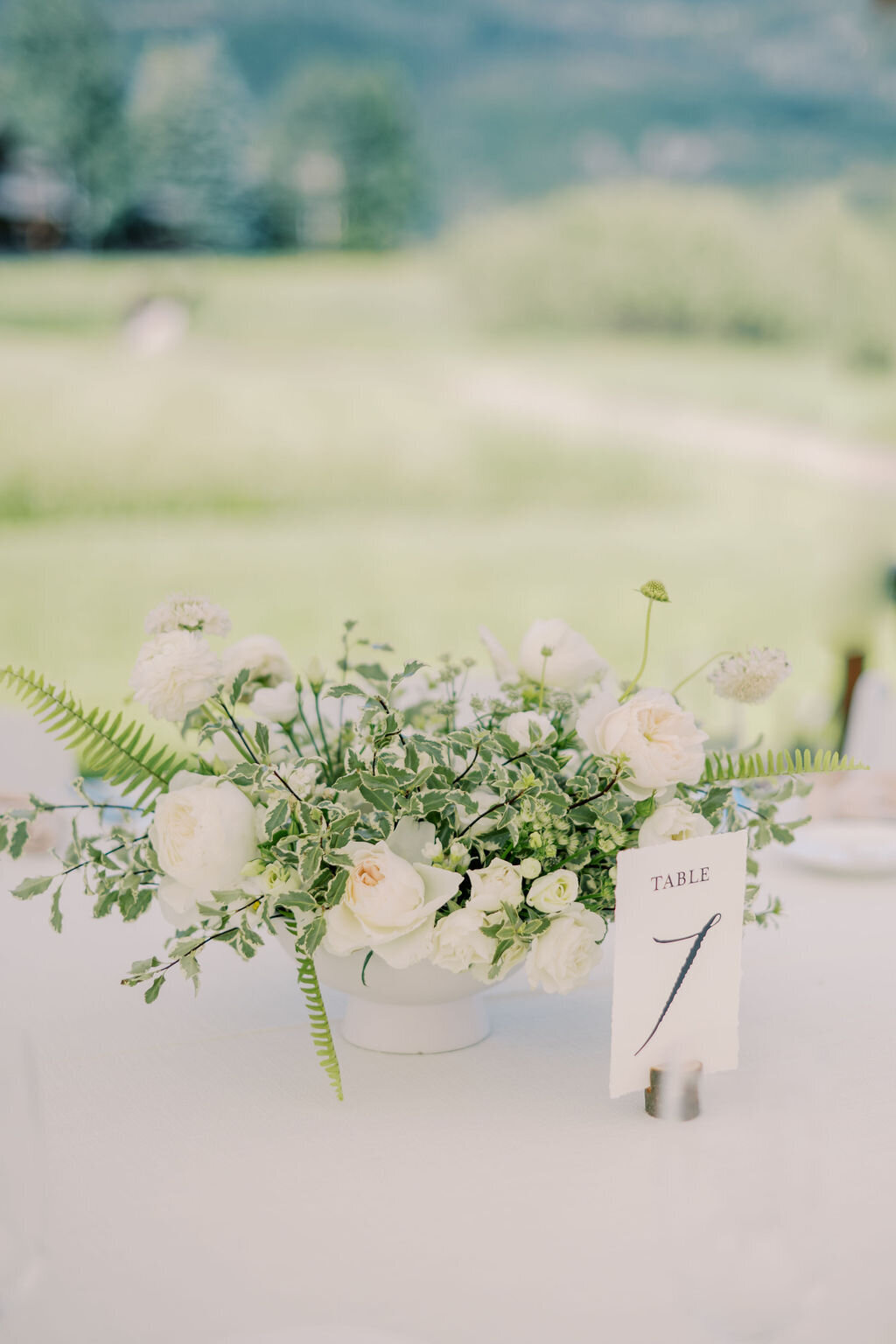 Luxury Summer Wedding in Steamboat Springs, Catamount