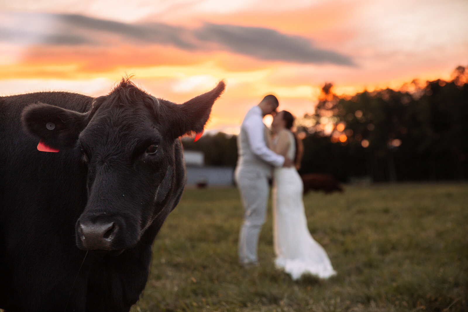 couples sunset photo