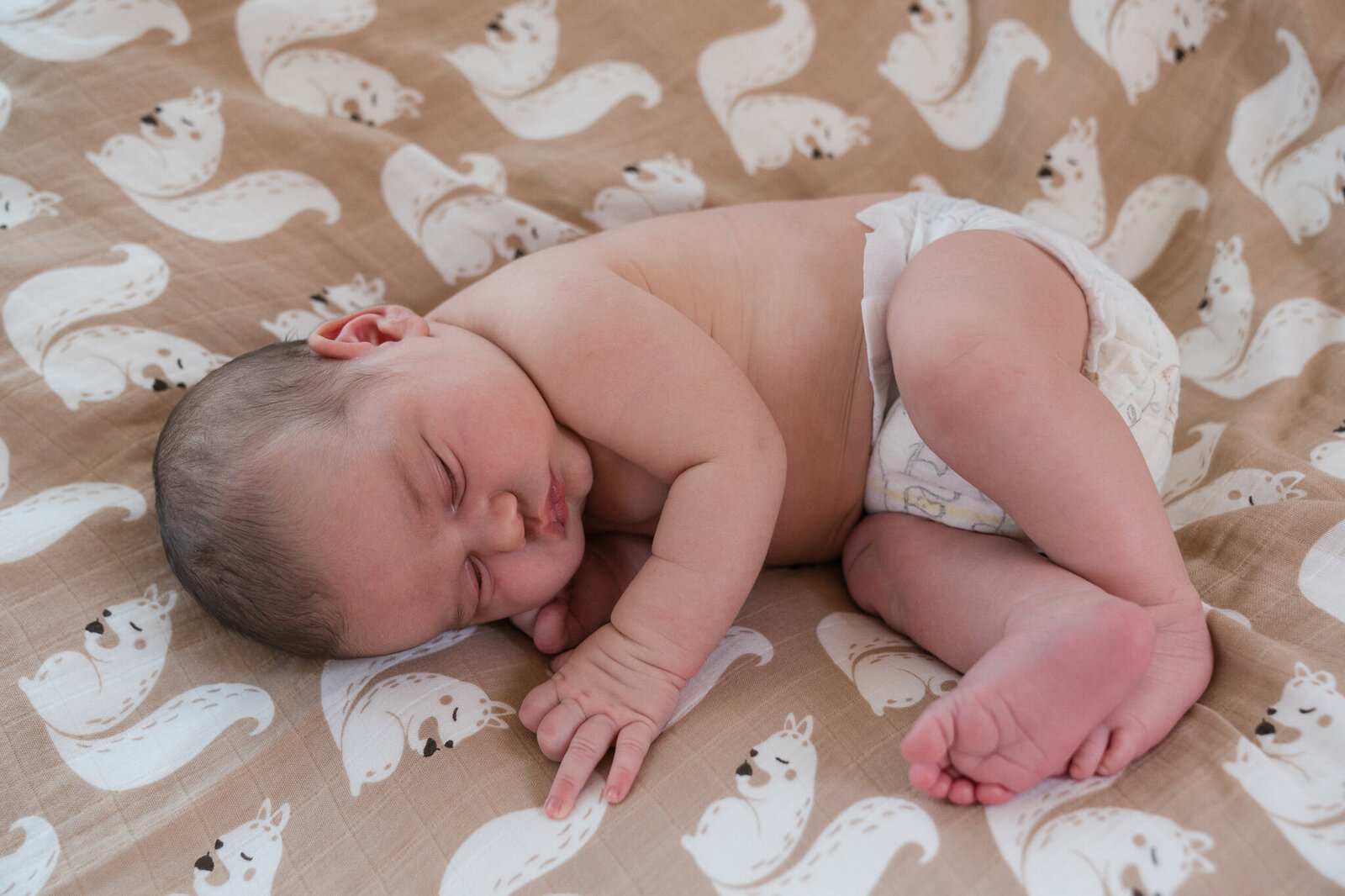 Babyfotografin-Newborn-Baby-Babyfotografie-Babyshooting-Neugeborene-Babybauch-Shooting-Babyfotograf 50