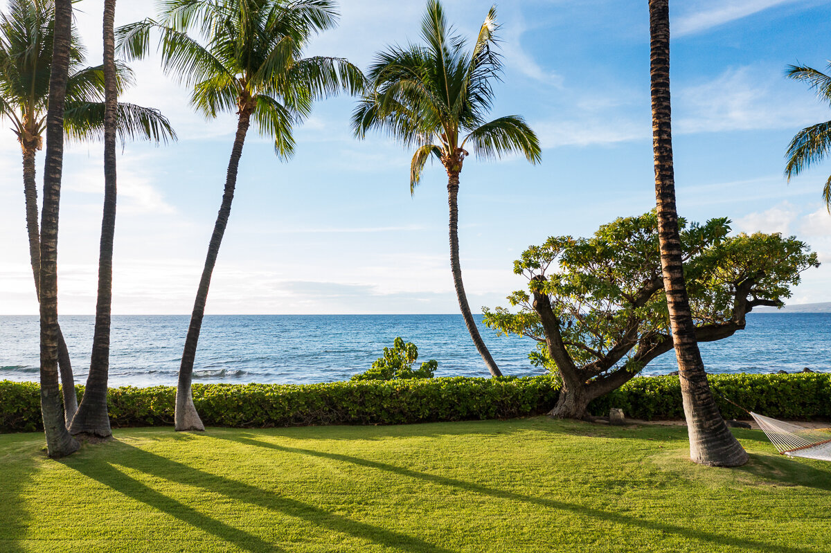 69-1732 Puako Beach Dr MLS-63