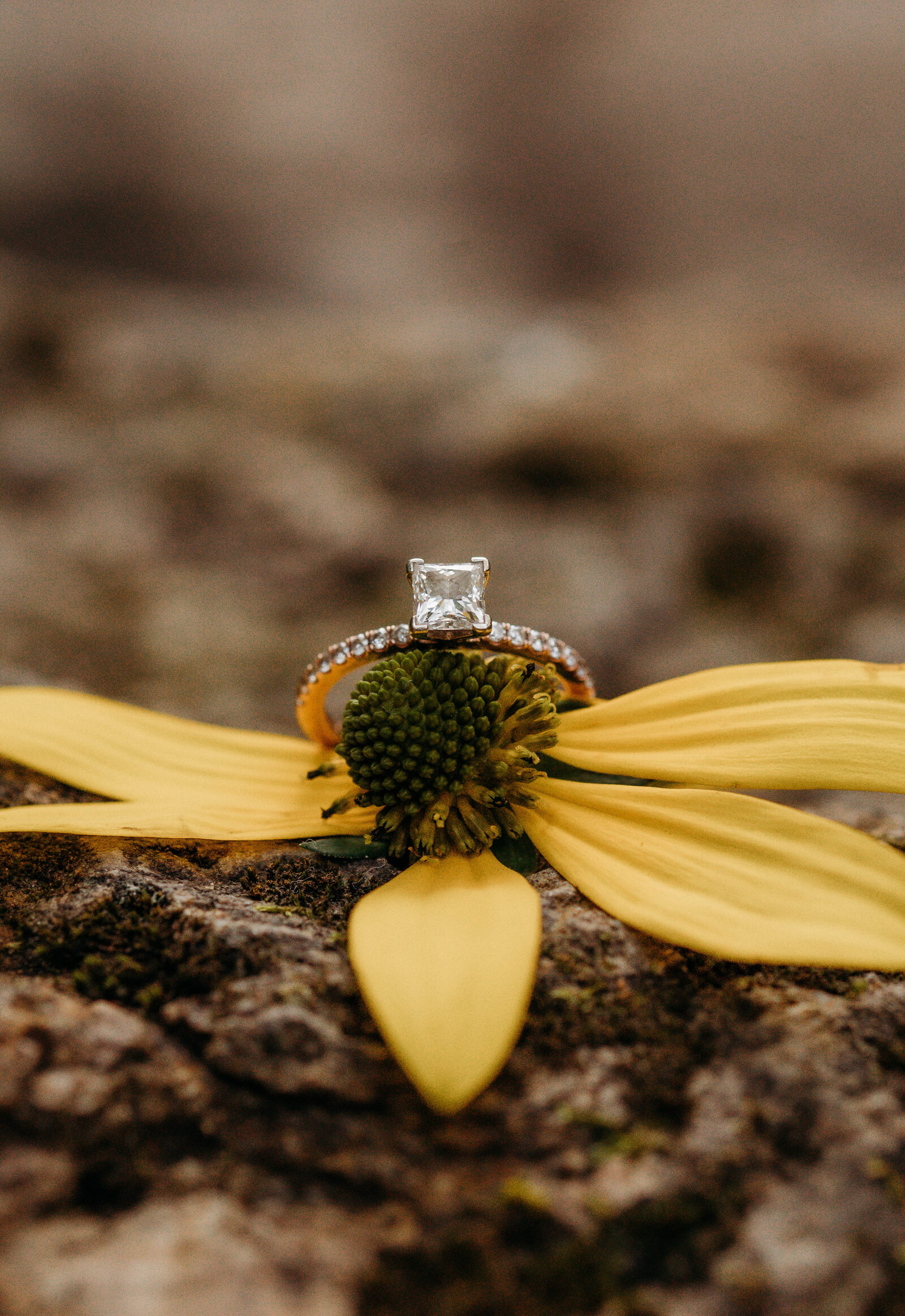 Brush-Creek-Falls-West-Virginia-Wedding-Photographer (137)