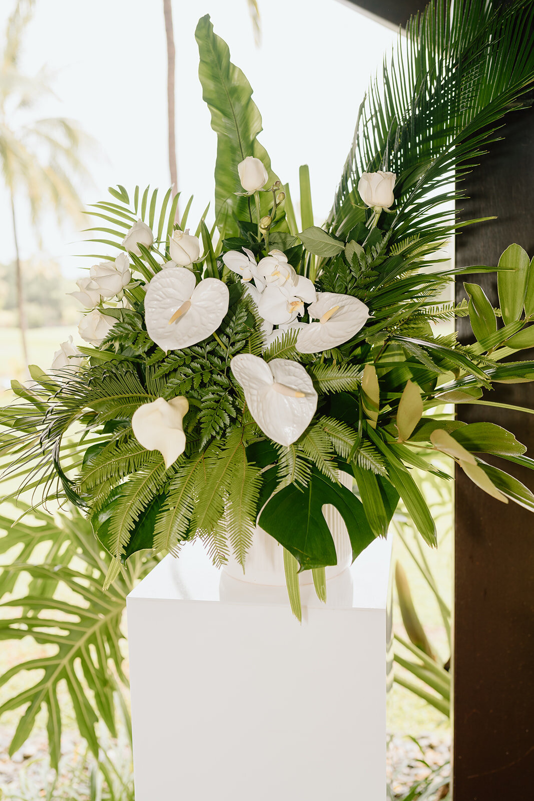 Lia&Travis-Coast&Pines-108