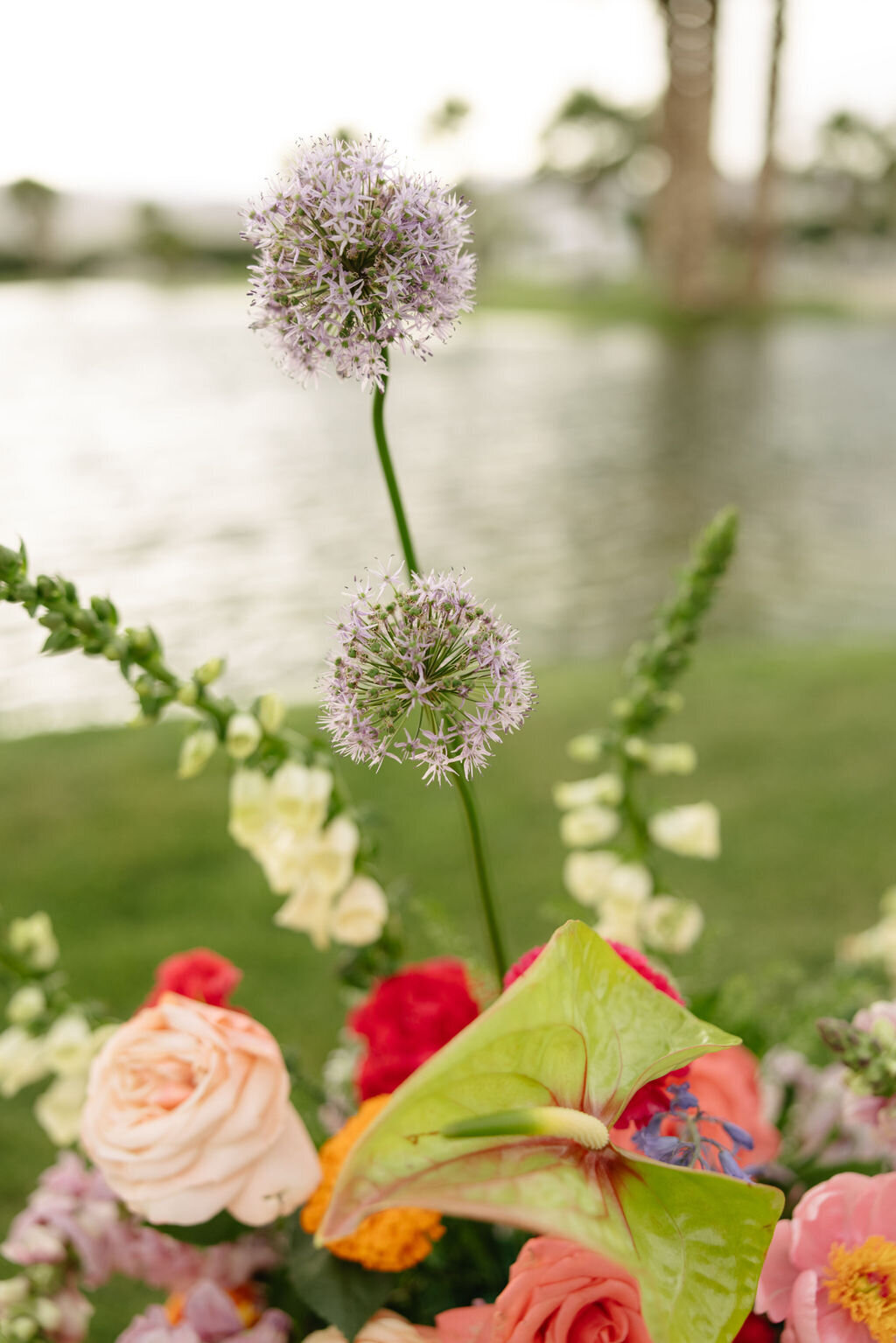 imanleeevents-palmspringsweddingplanner-avantstaybuenavista-thermalweddingE&D-515