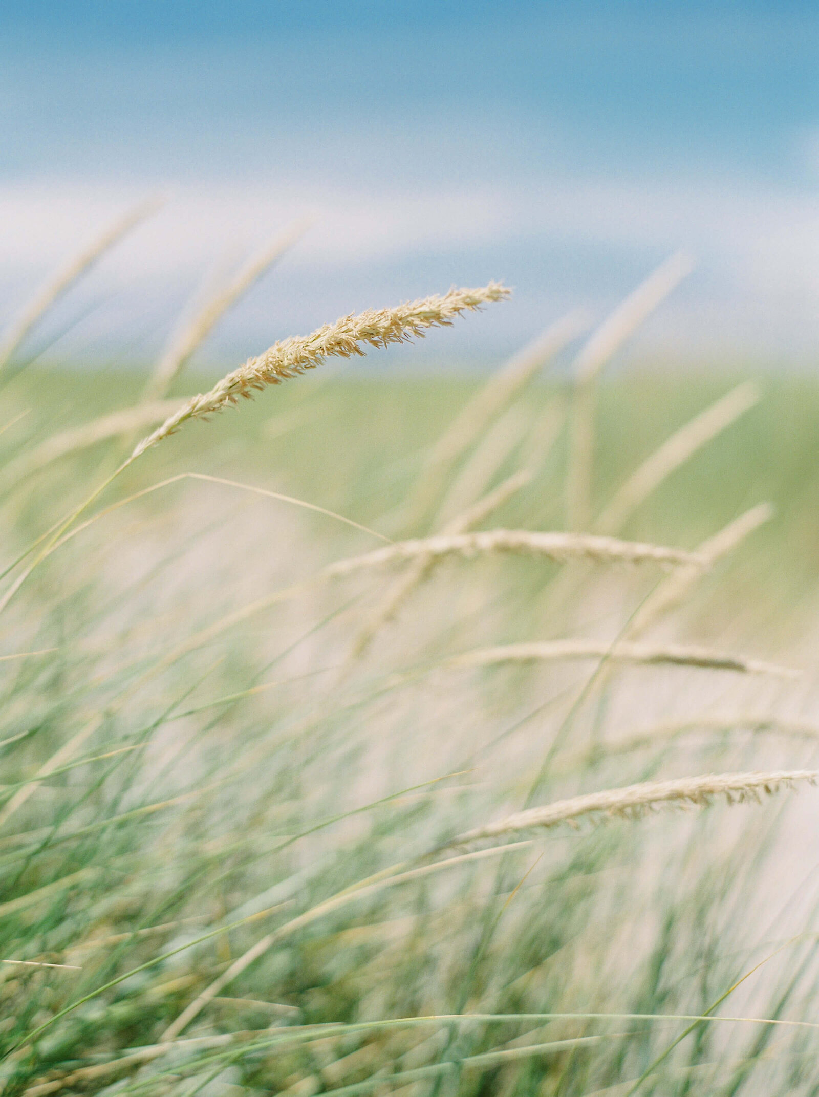 haute-stock-photography-summer-breeze-collection-final-22