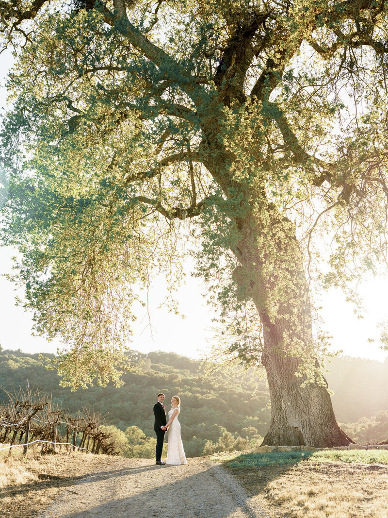 hammersky-wedding