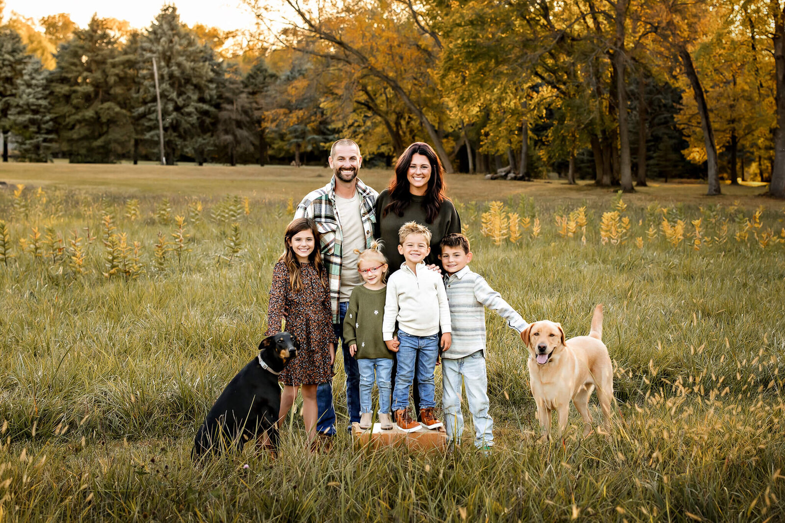 A family of five poses joyfully in a grassy park with two dogs, expertly captured by a Bloomington family photographer. The parents stand behind their three children, while the dogs sit on either side. Surrounded by trees with autumn leaves and bathed in warm light, this outdoor portrait captures their happiness perfectly.