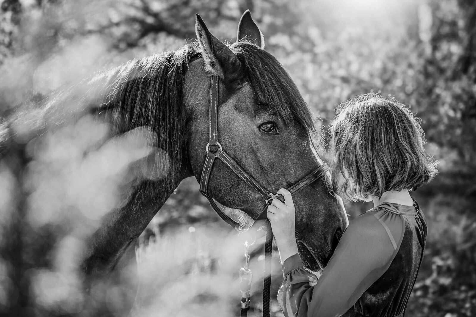New-Mexico-Horse-Photographer-012
