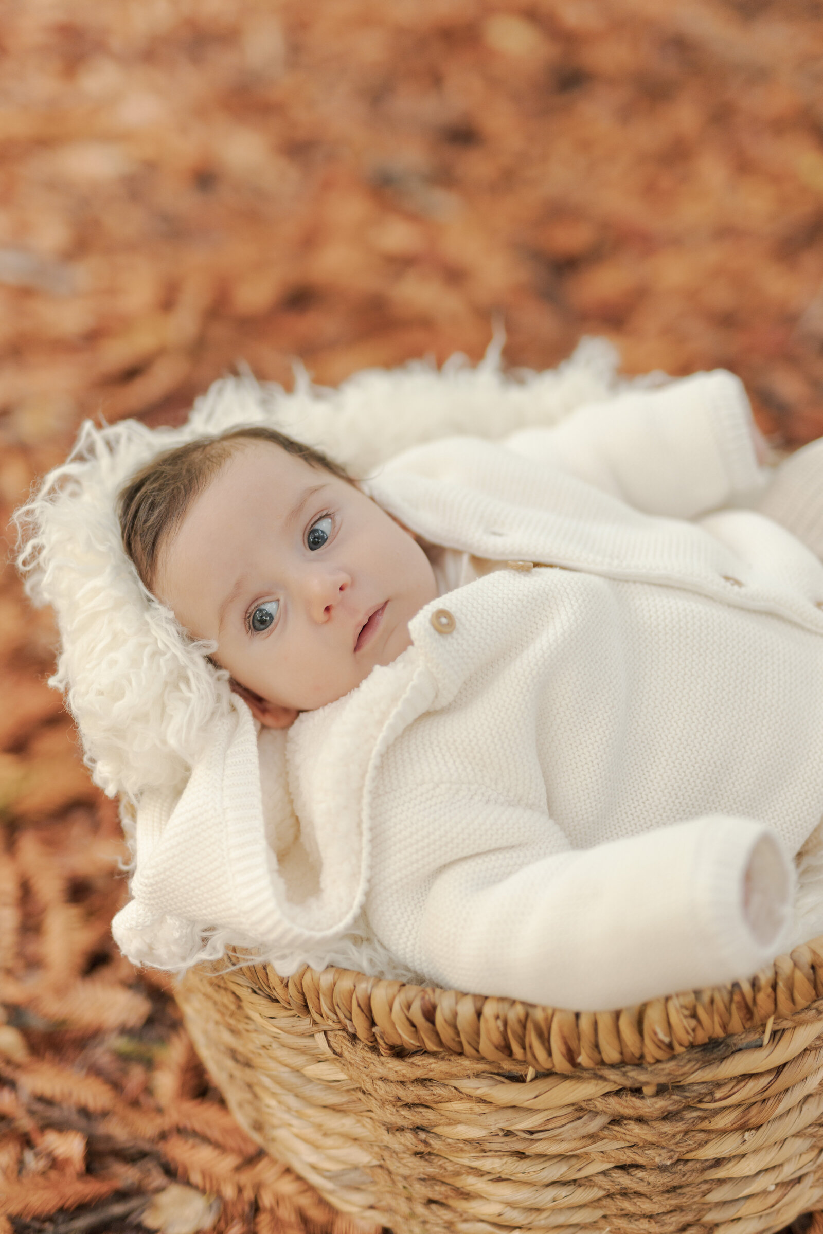 KateStuartPhotography-Cardiff-Family-Photographer-5