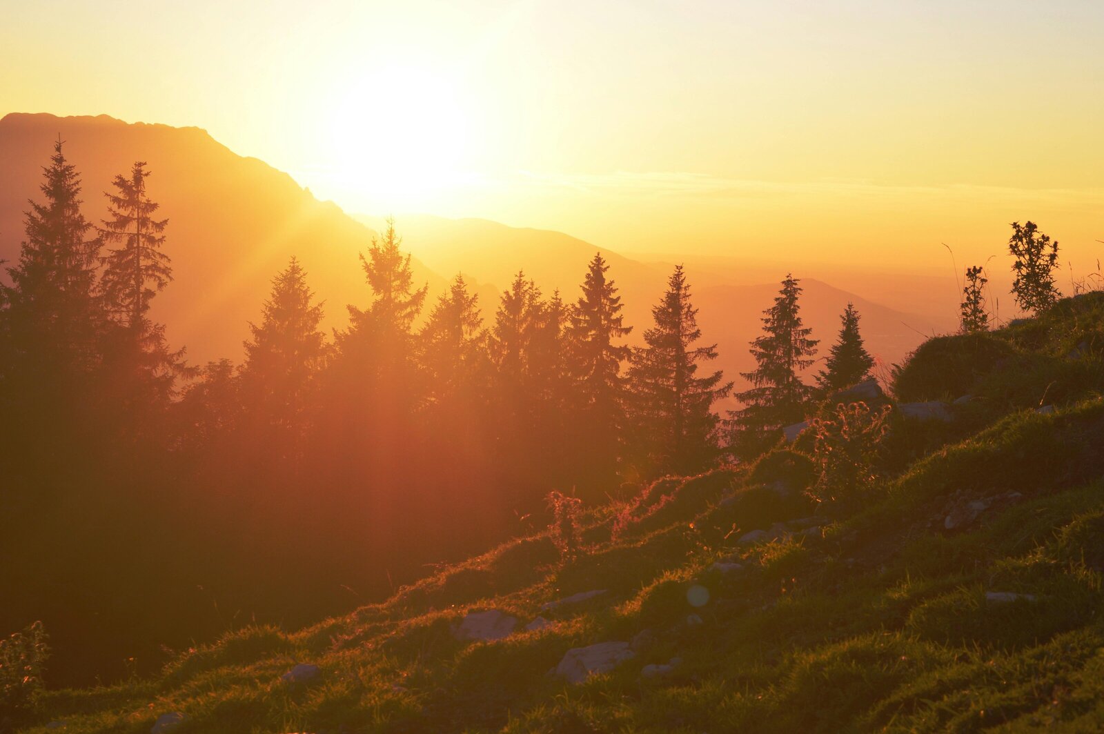 Image of a sunset over a mountain with trees.