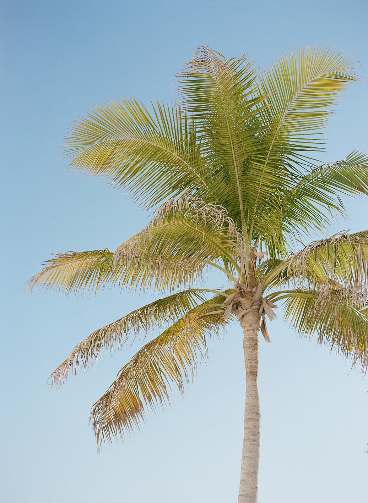 luxury-cabo-destination-wedding-weekend75