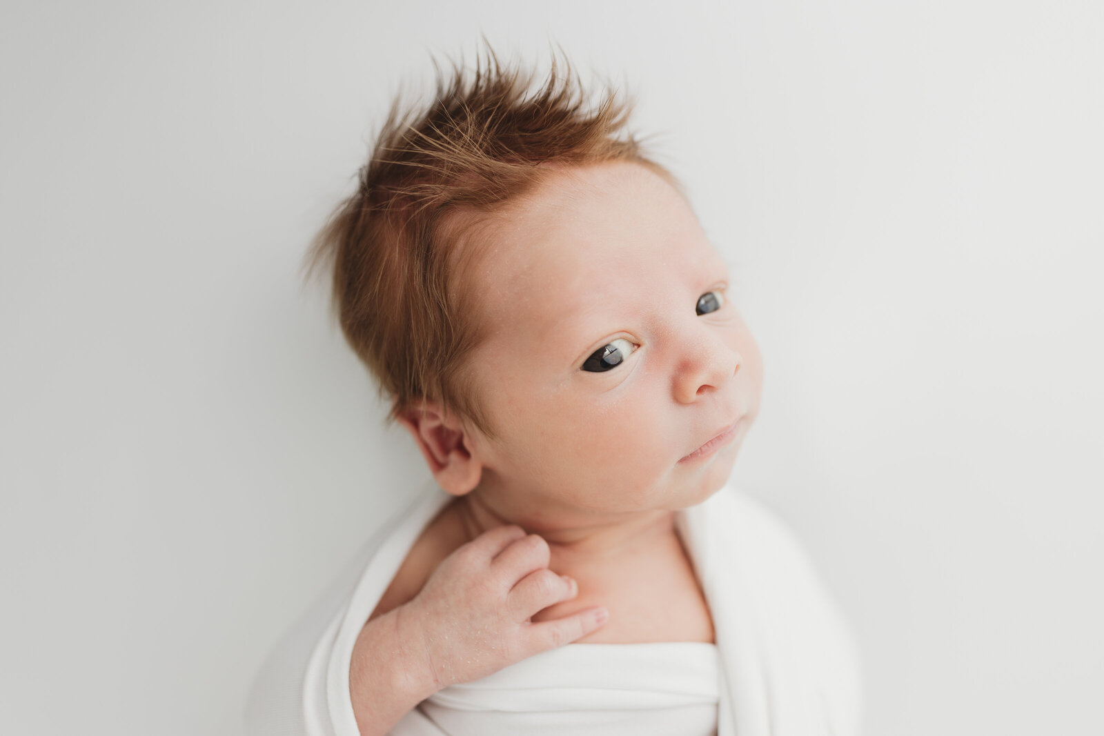 Fargo Newborn Baby Photographer-4