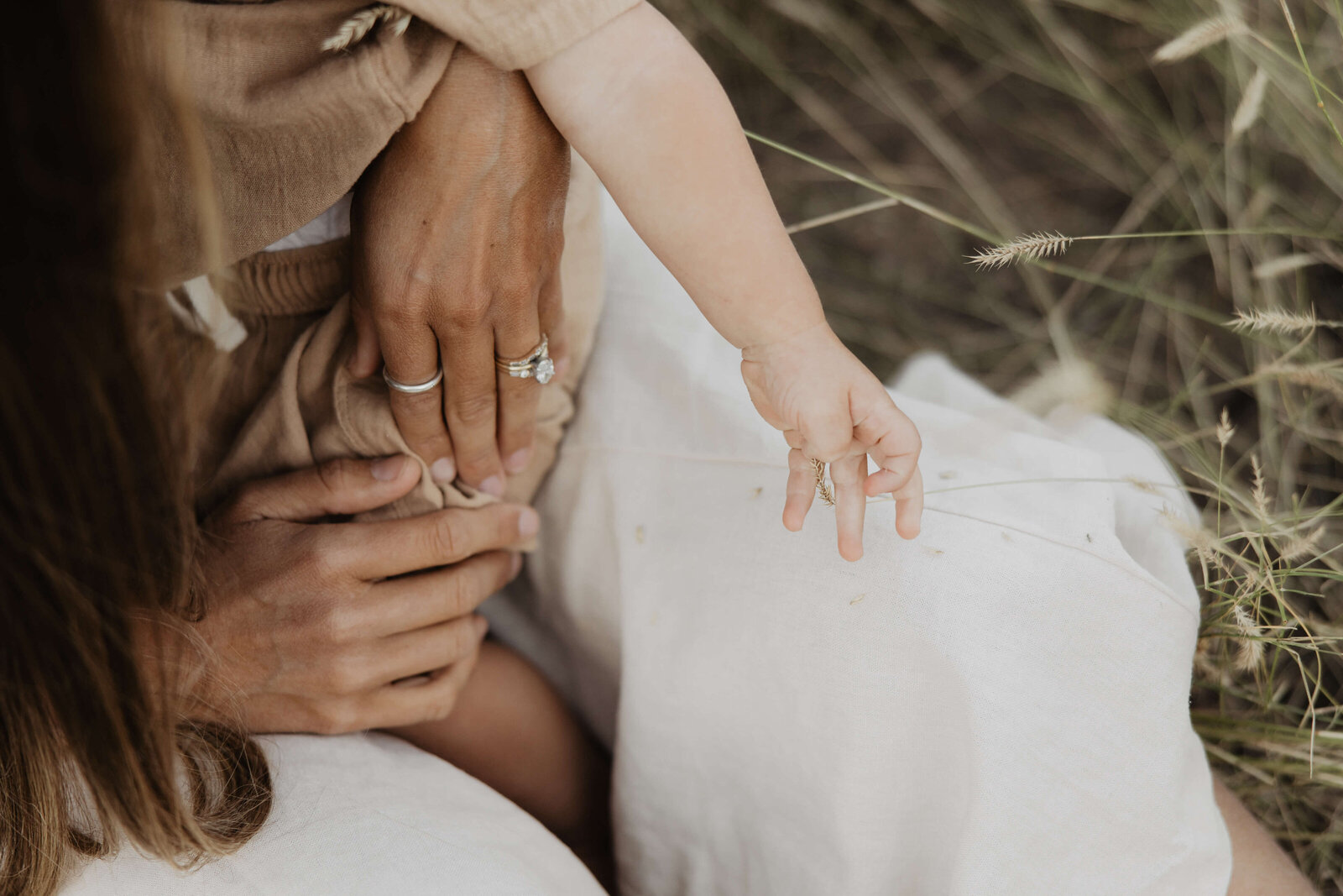 denver family photography 