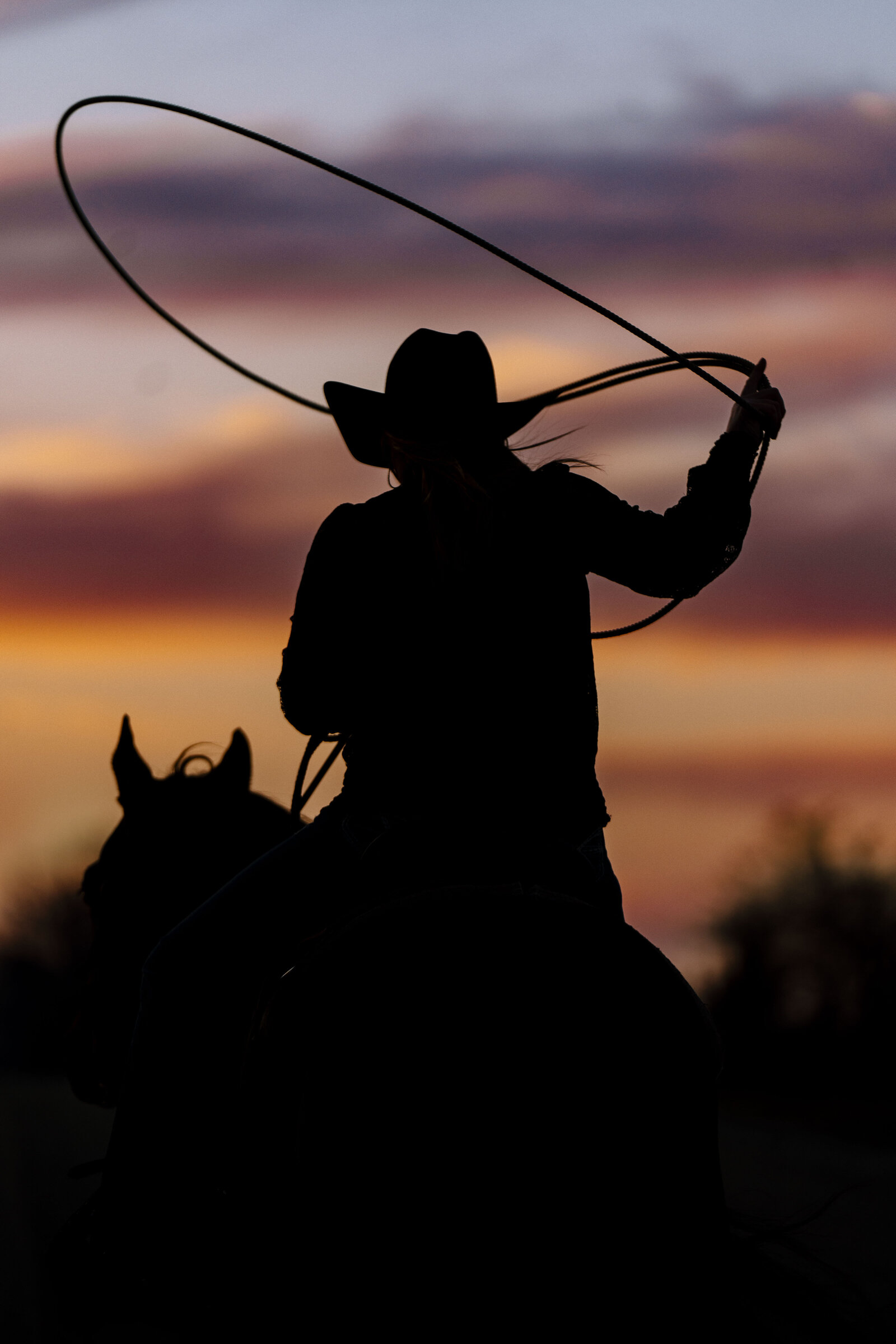 a cowgirl riding into the sunset swinging her rope