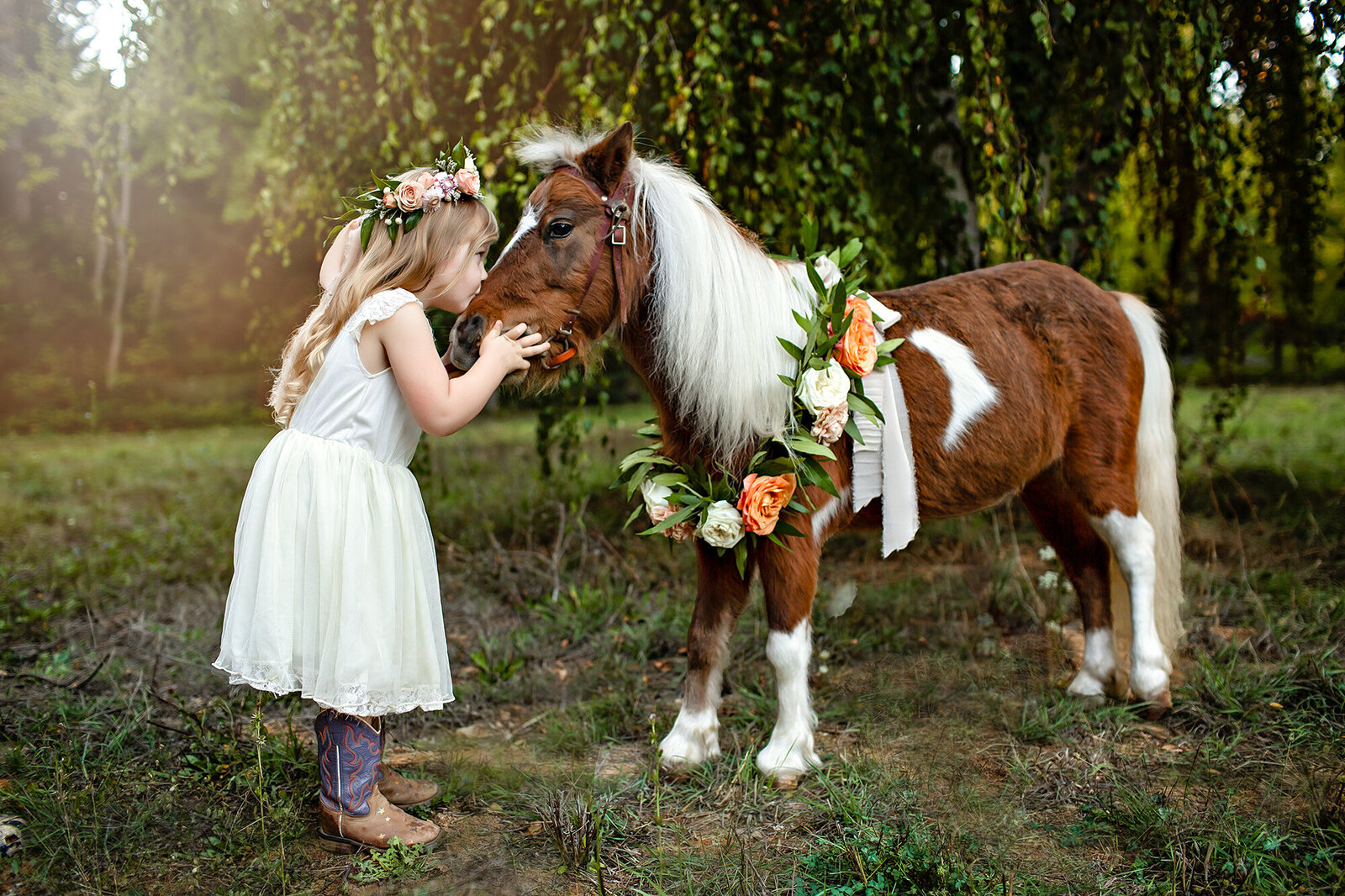 Northern California Equine Portraits