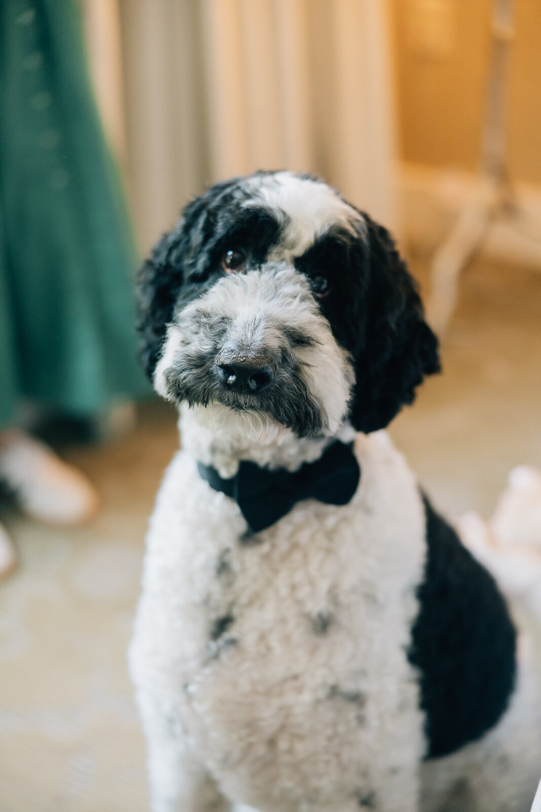 omni-grove-park-inn-spring-wedding3