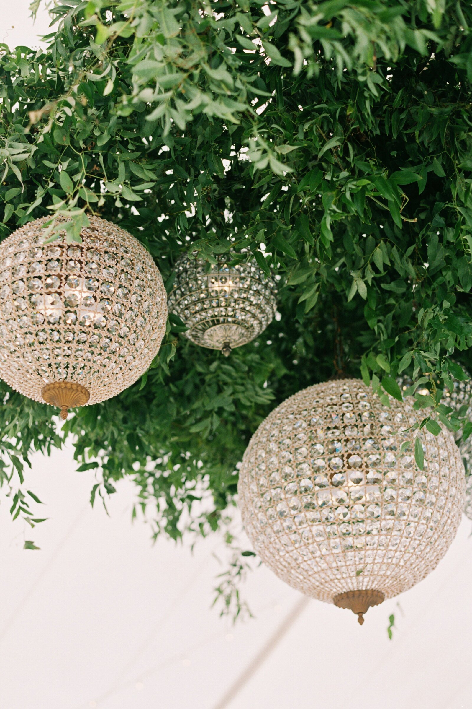 Tented-Bay-Harbor-Wedding-Michigan-Breanne-Rochelle-Photography58