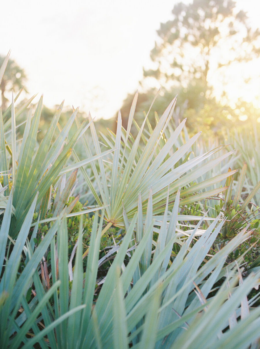 melissa-piontkowski-florida-engagement-photographer-jupiter-14