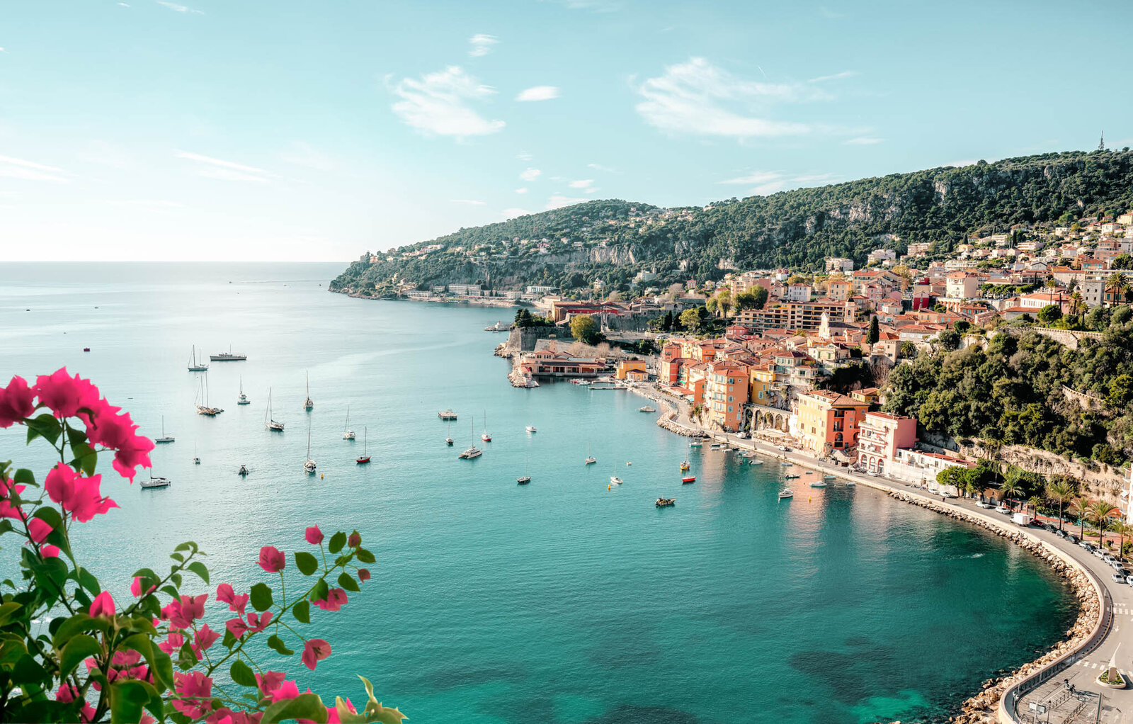 Wildflower Travel Agency-15
