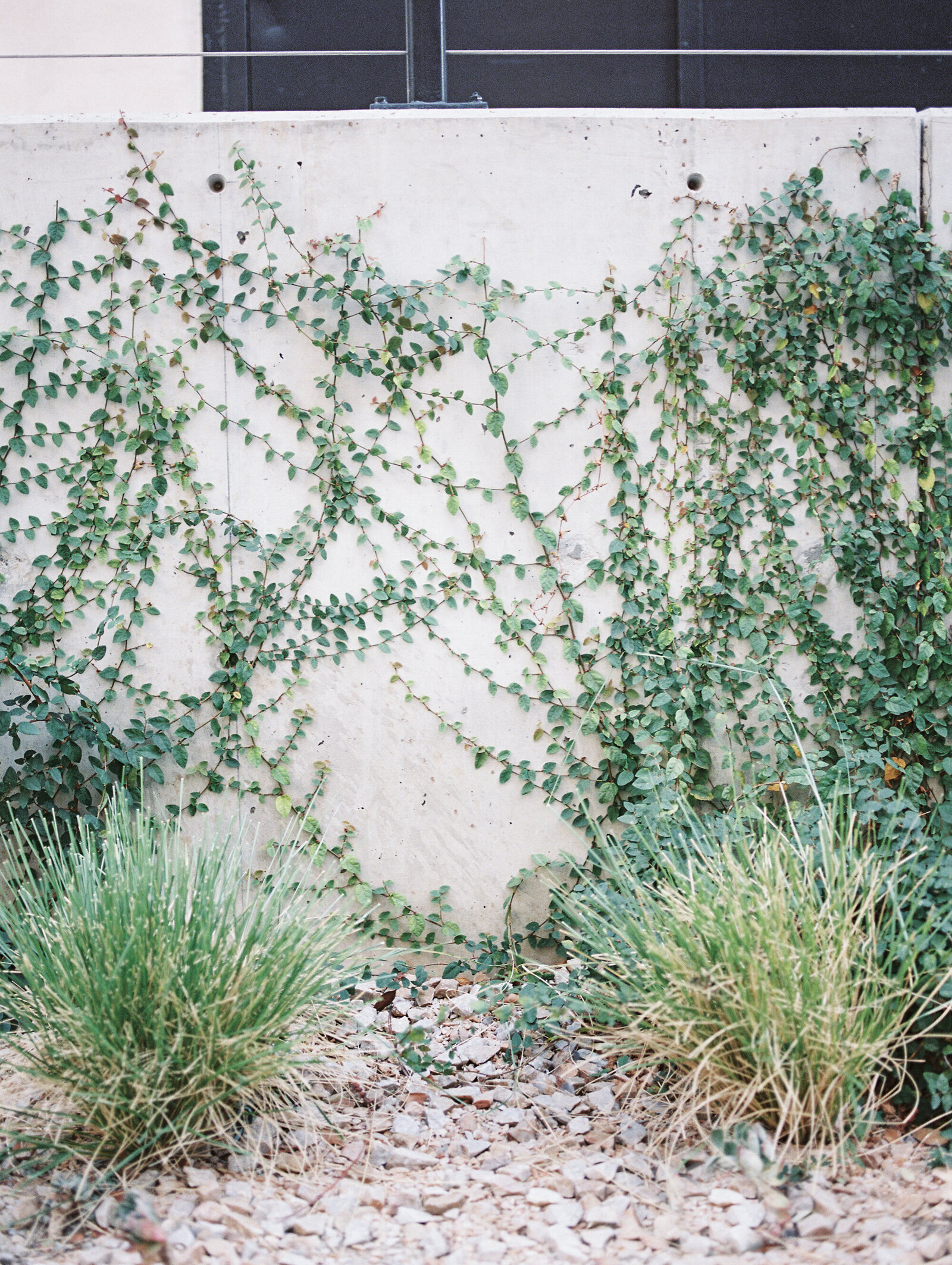 1-San-Diego-Wedding-Photographer-Mandy-Ford-2