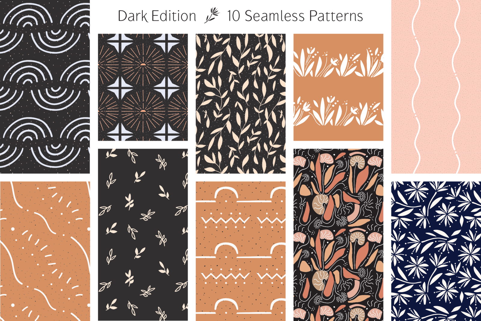 SF_Dark Display_1