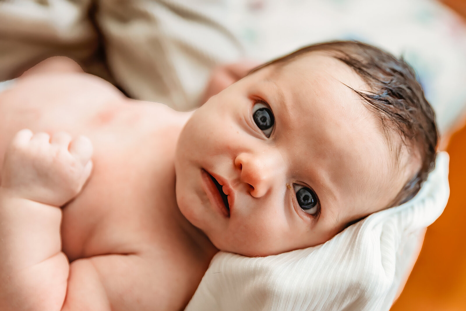 Newborn - Hammondsport New York-33