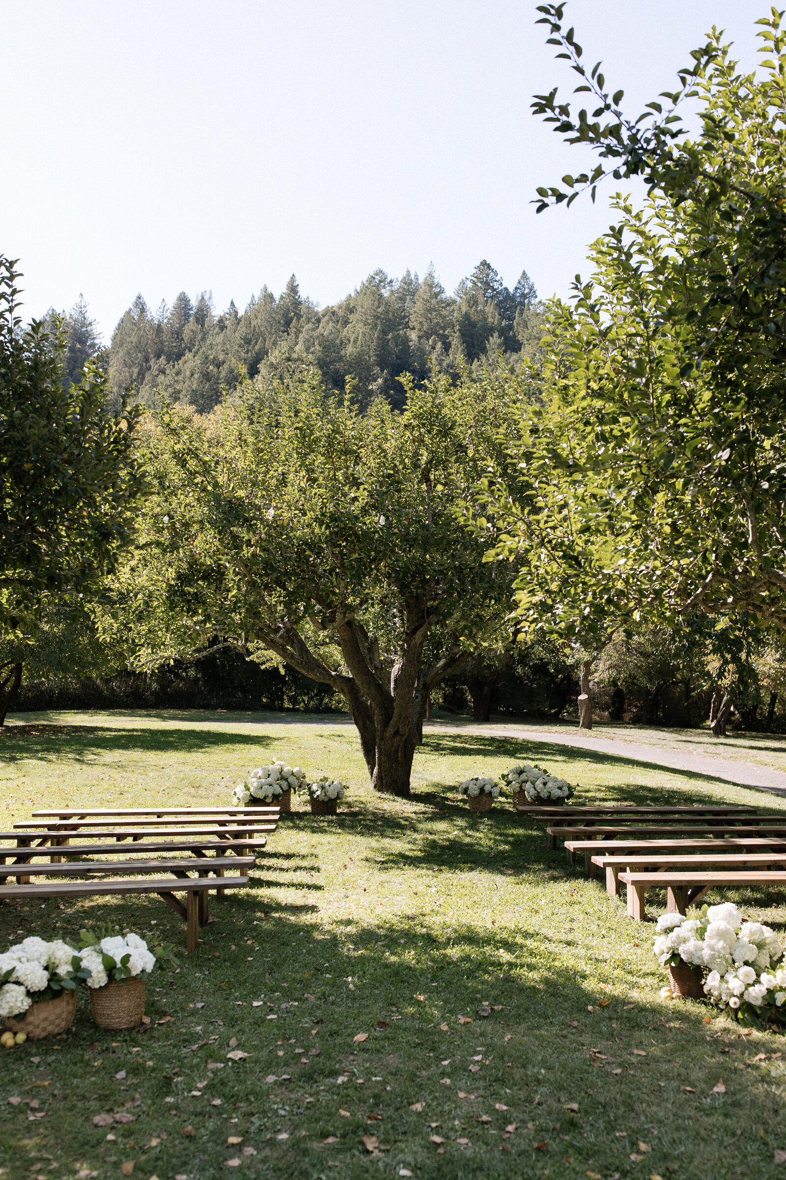 Ceremony in apple orchard at Dawn Ranch by best Northern California elopement photographers, Erica Rochelle