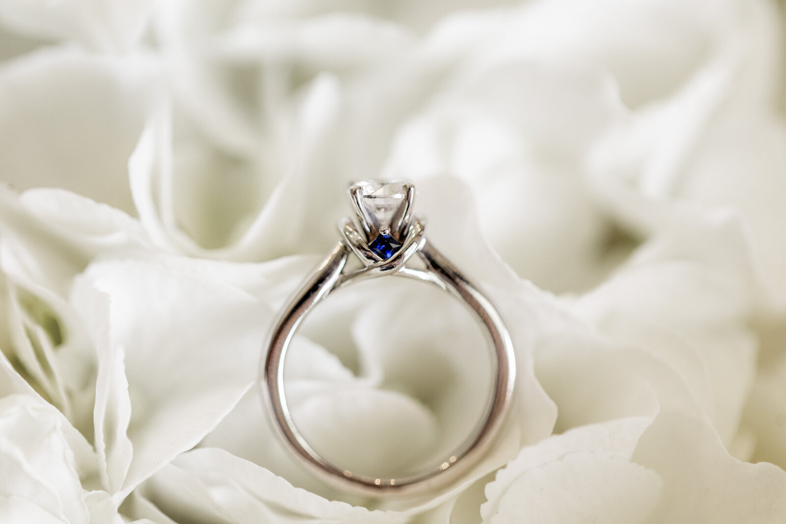 250308-Sophie-Matthew-Rexvil-Photography-Adelaide-Wedding-Photographer-109