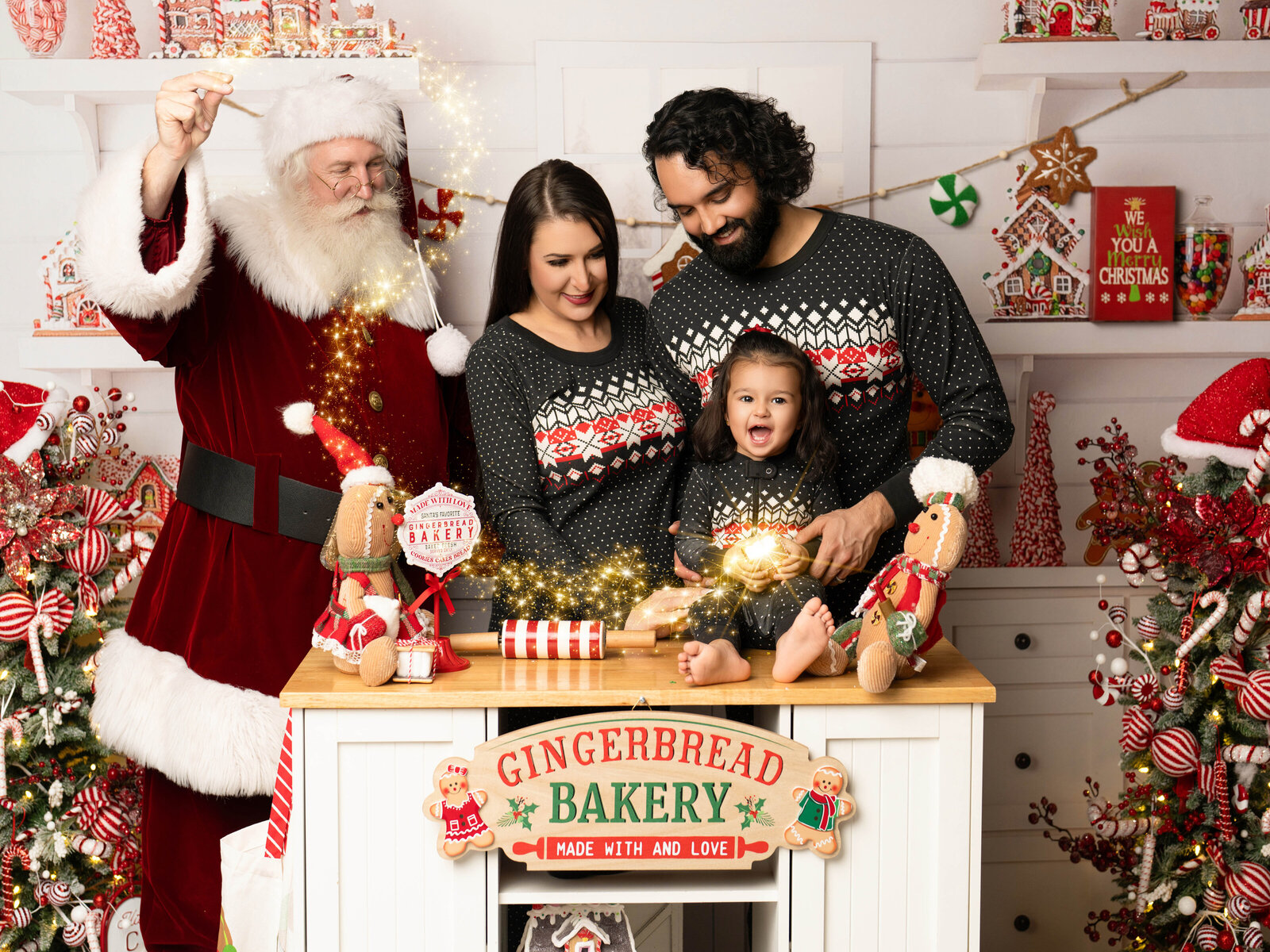 SteinArtStudio 2024-11-23 Christmas mini AutuWil-66 copy