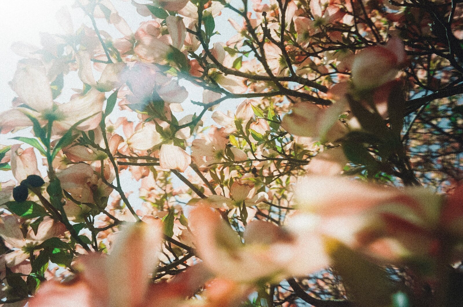 parker-coffman-uvc7kk_t9tk-unsplash