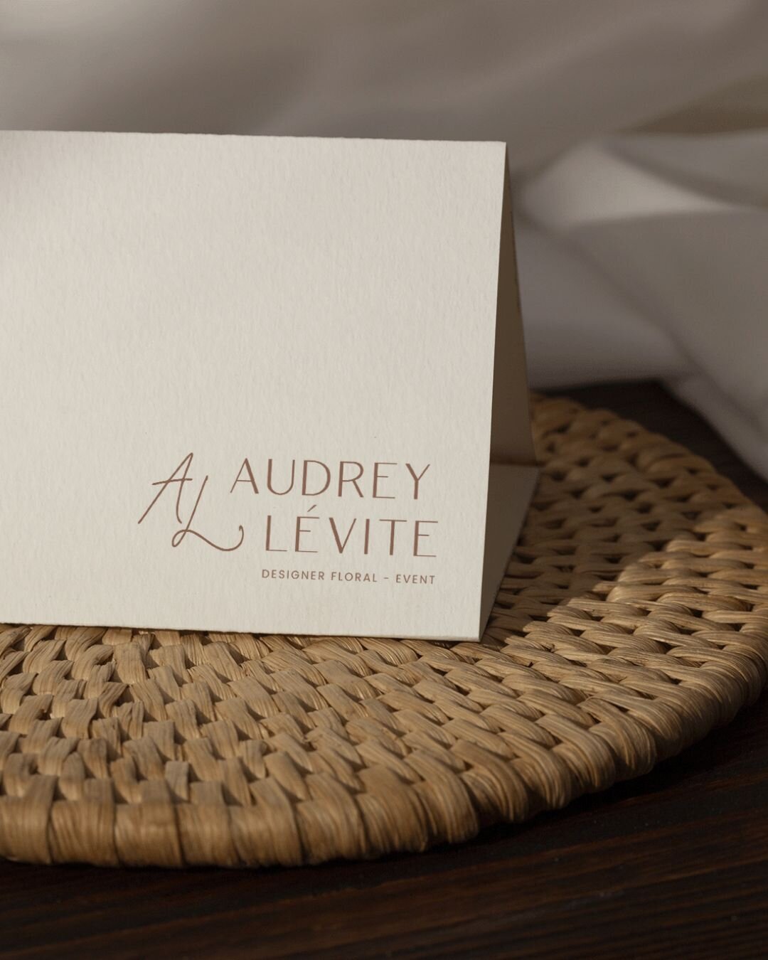 conception-identite-de-marque-site-web-designer-levite7