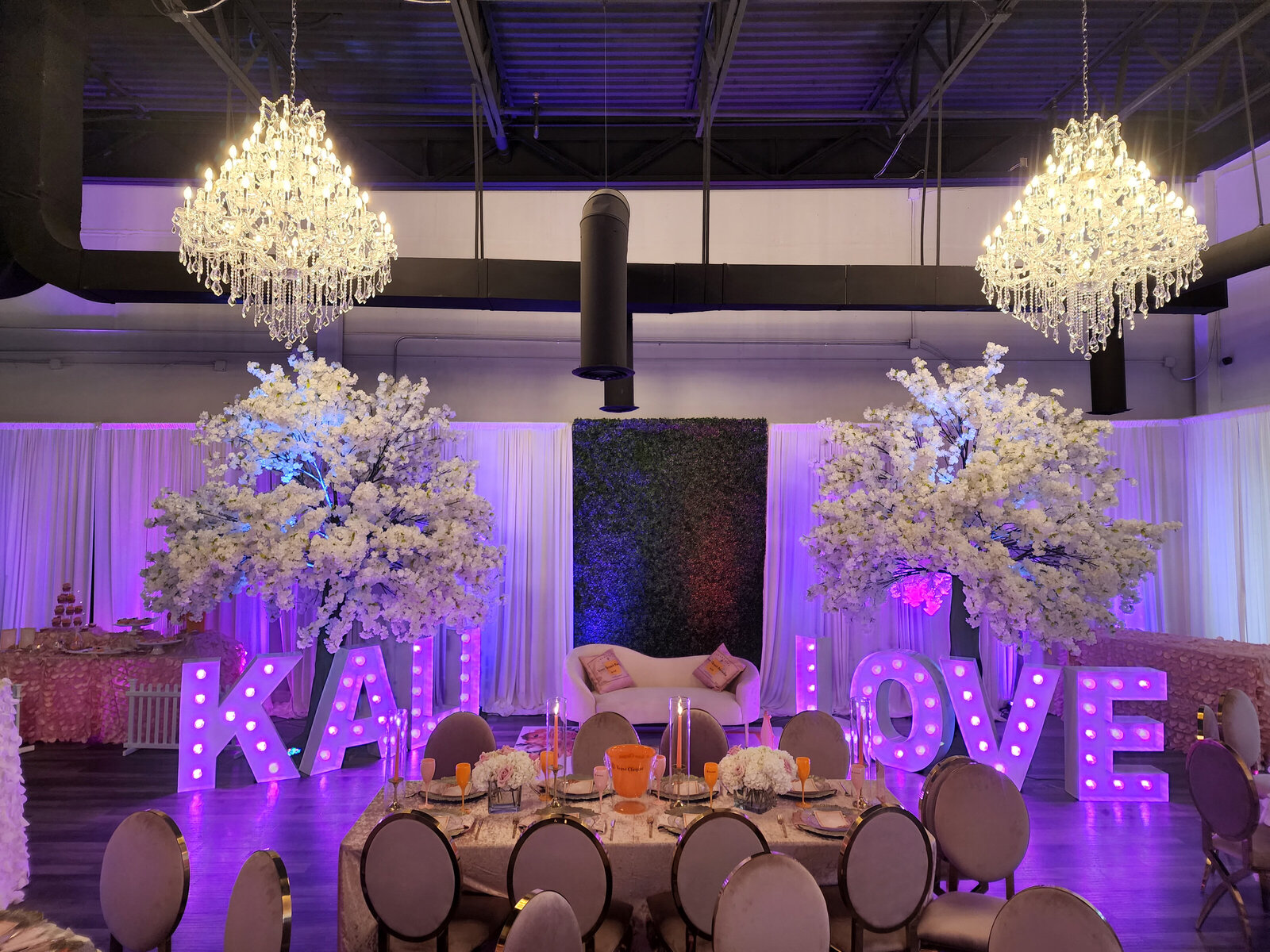 Metro Detroit Baby Shower Event Space Eleven11 Studio