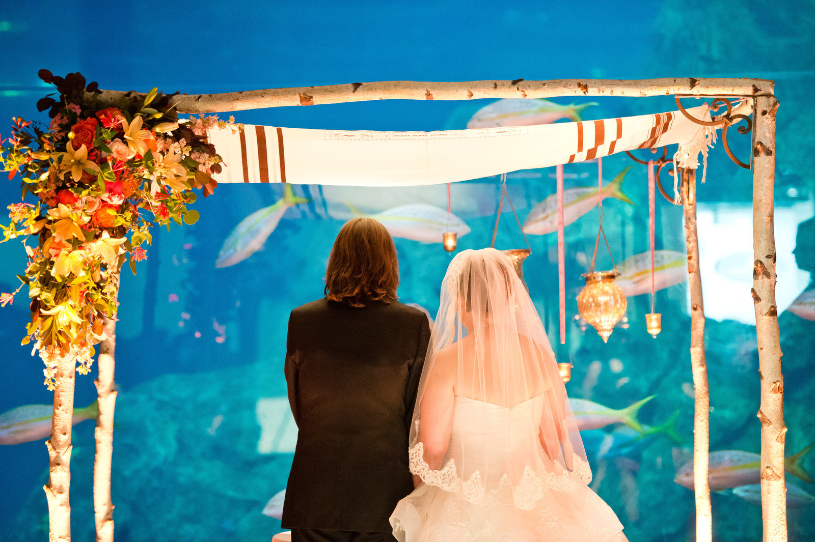 Jewish Wedding ceremony at Adventure Aquarium in Camden New Jersey. Wedding in Currents Ballroom. Chuppah design by A Garden Party in Elmer, NJ photo by Amanda Young Photography