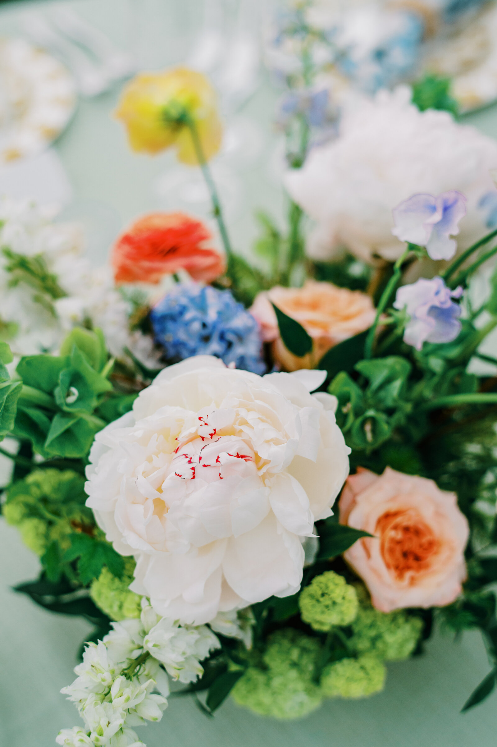 Mallory & Ben Wedding Sneaks-1-2