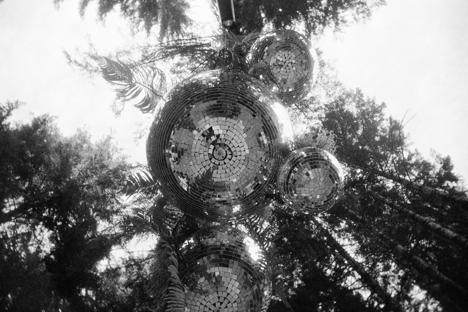Dark-Disco-Boho-Forrest-Wedding-Seattle-MtRainer-32441