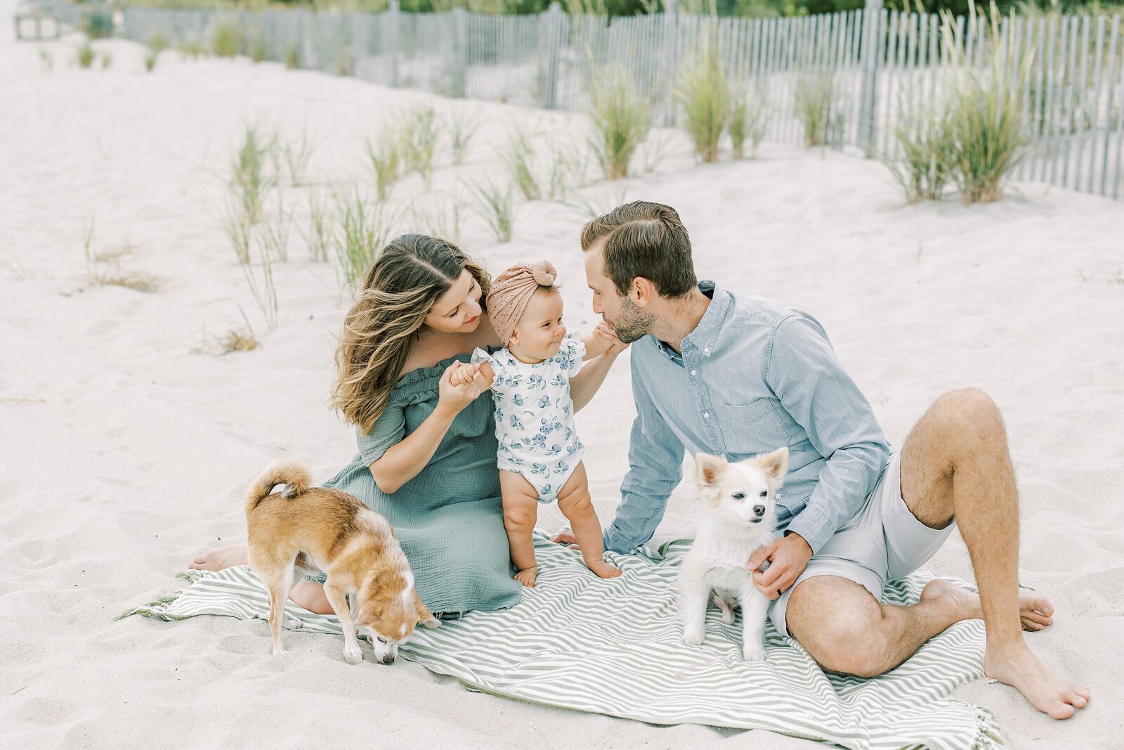 beach portrait of family with 2 dogs
