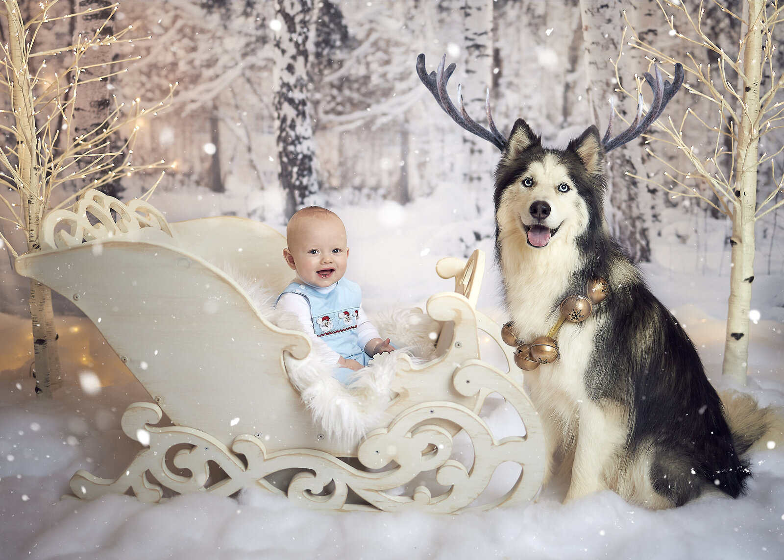 atlanta-best-award-winning-baby-boy-christmas-snow-santa-suit-sleigh-session-husky-dog-reindeer-photography-photographer-twin-rivers-01