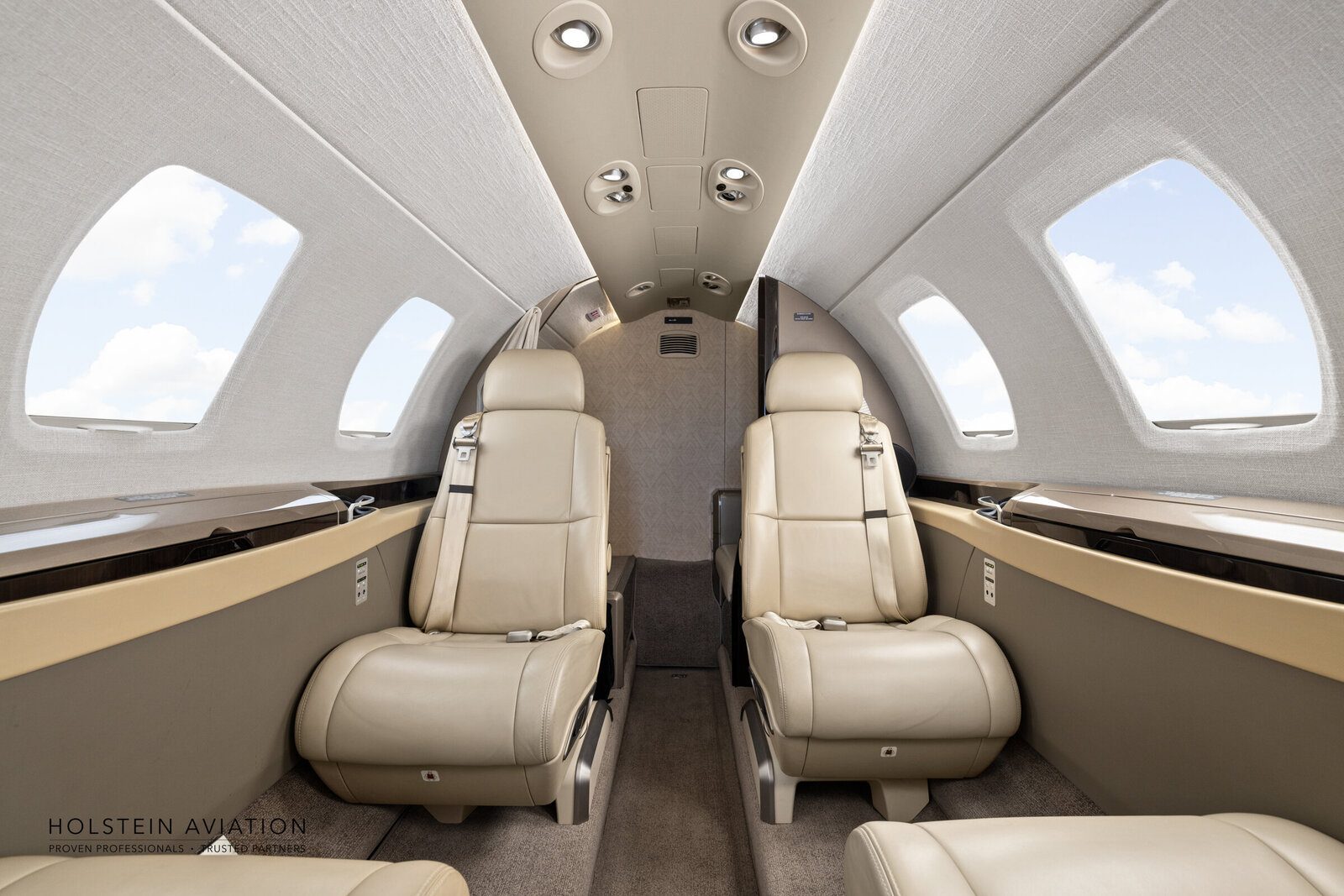 Citation M2 Watermark-17