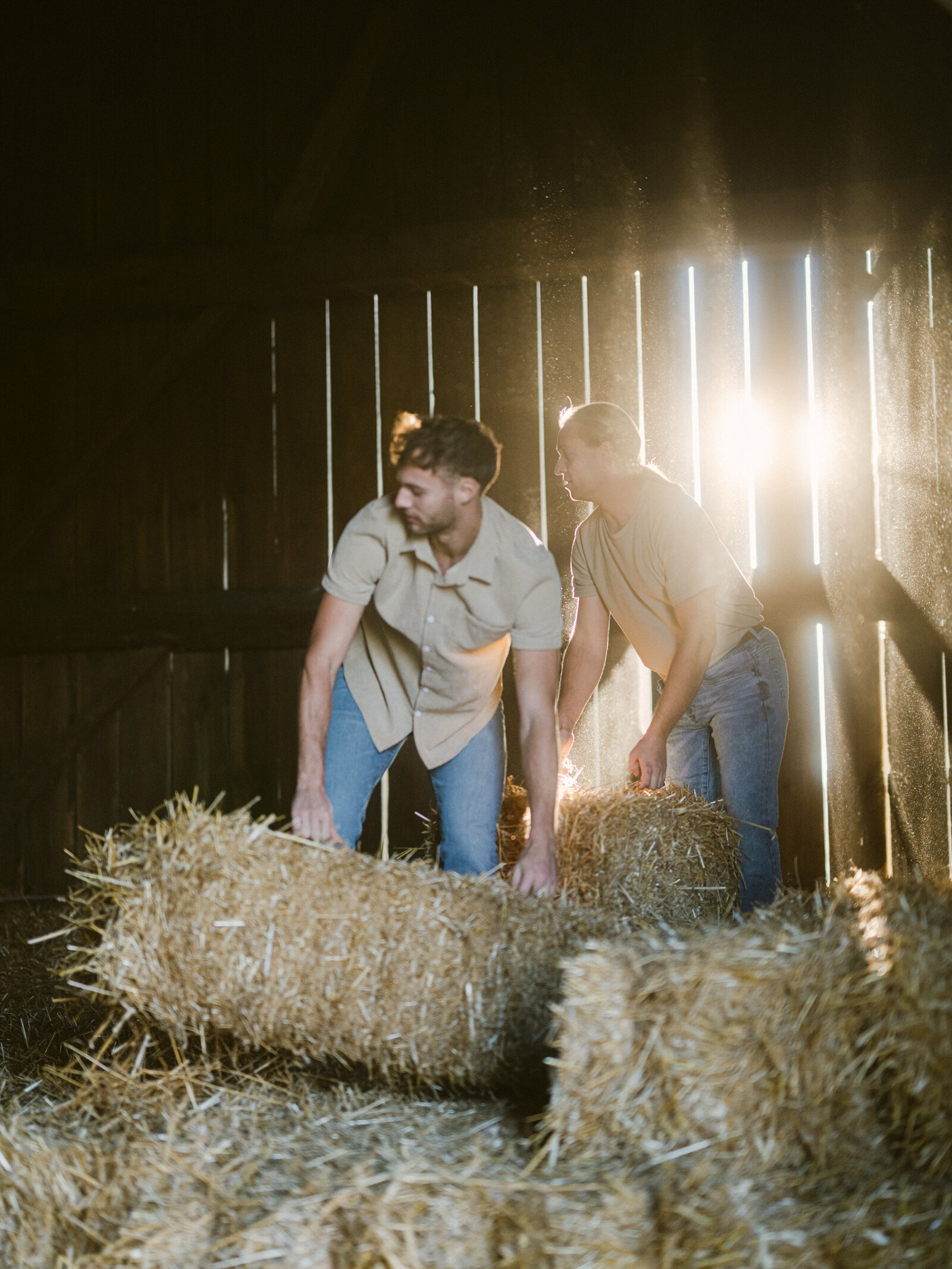 Family_photography_at_the_farm_Ingersoll14