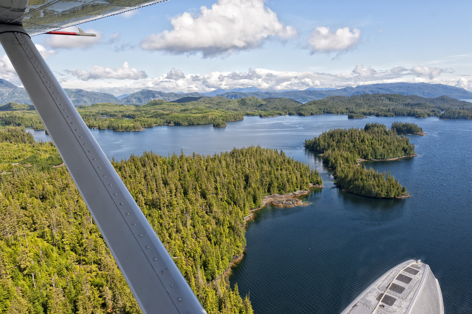 vecteezy_alaska-prince-of-wales-island-aerial-view-from-floatplane_20178020