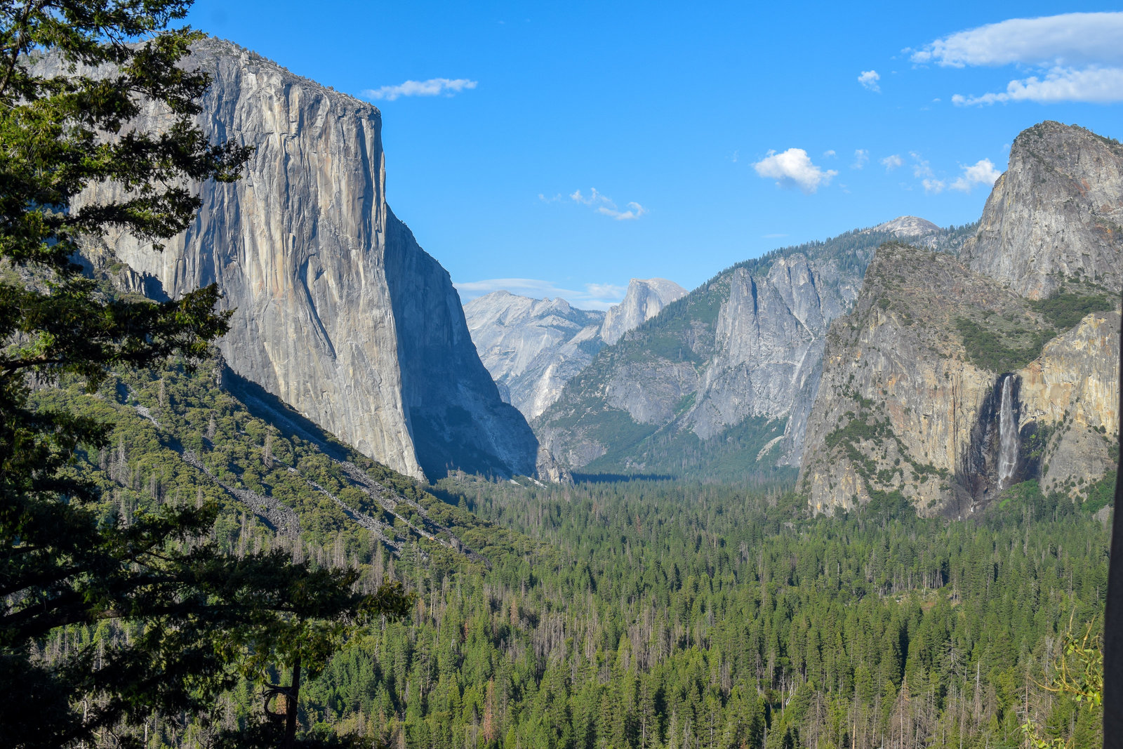 Half Dome Yosemite National Park California