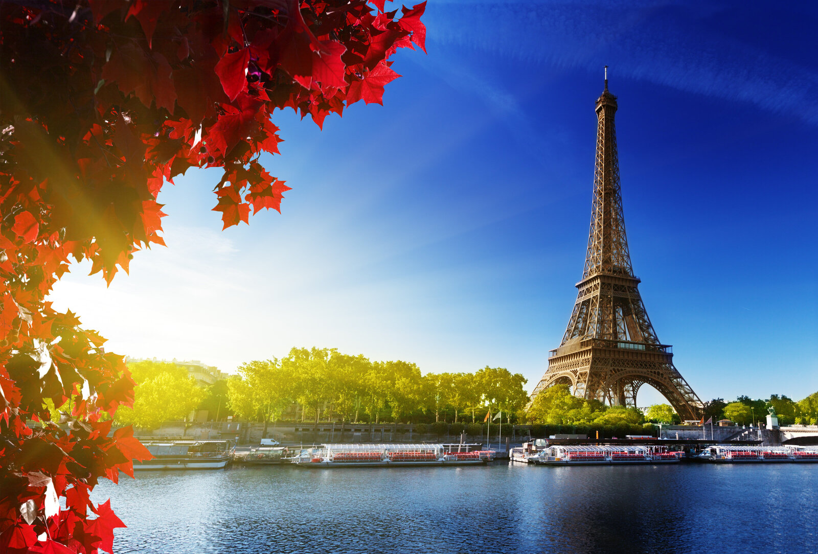 Weindling-World-Travel44409283