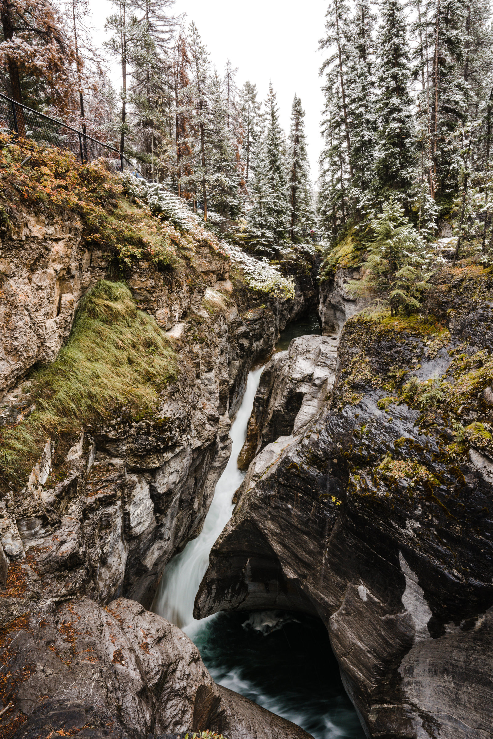 Banff_Jasper_National_Park_Sasha_Reiko_Photography-76