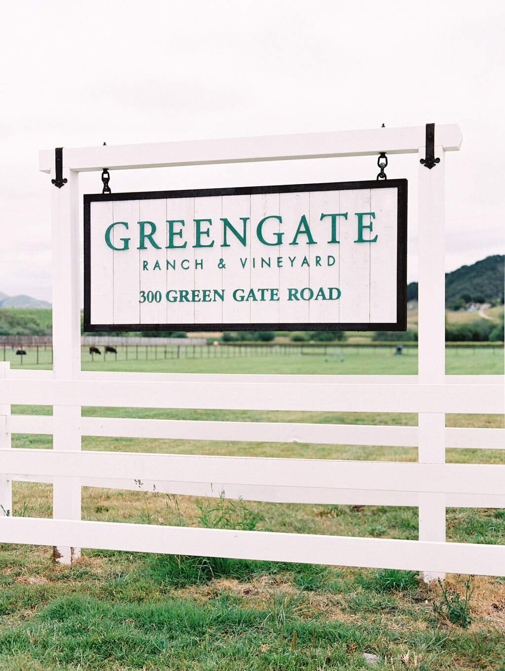 Greengate-Ranch-and-Vineyard-Wedding-San-Luis-Obispo-Ashley-Rae-Studio-Patag-2024-106