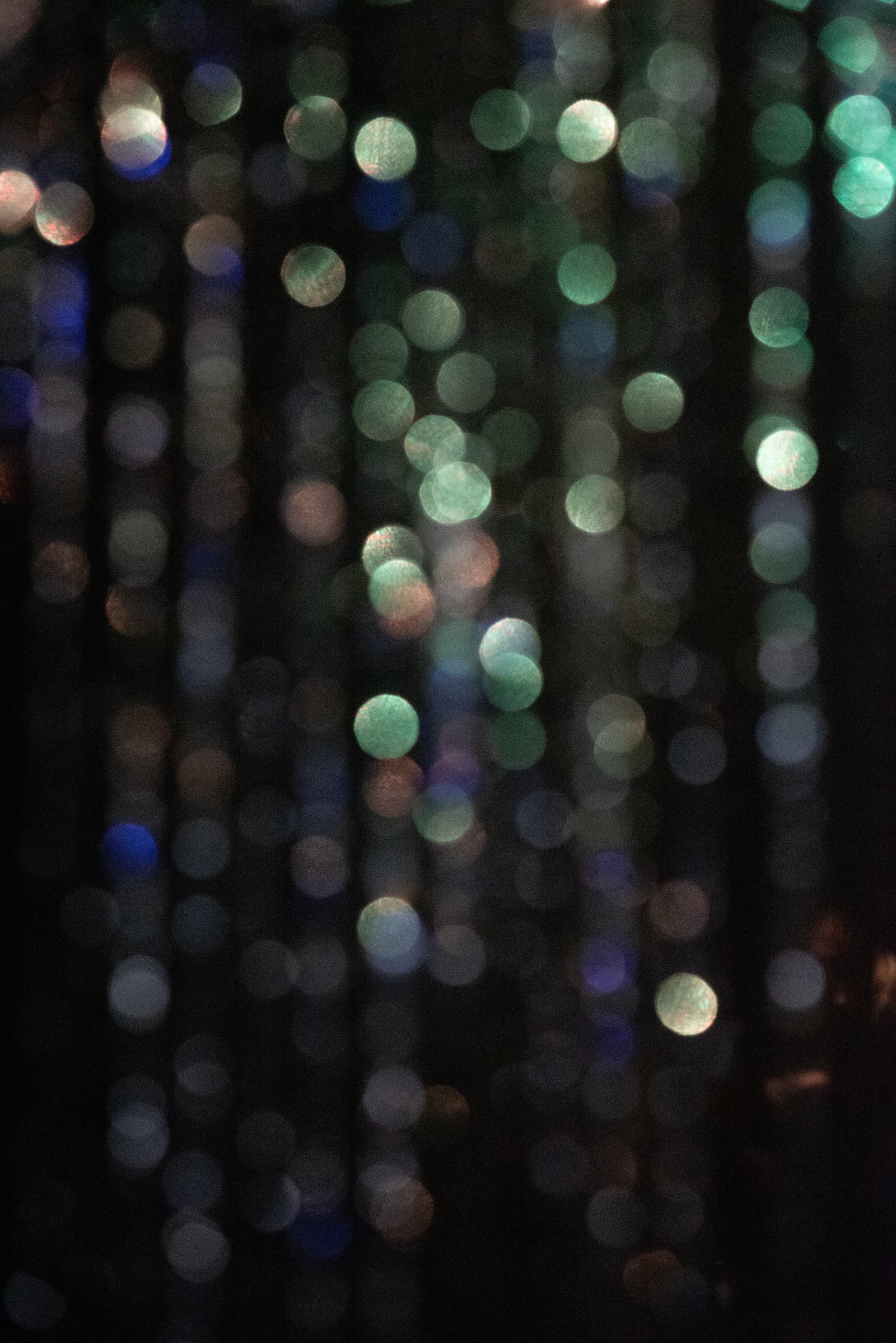 AAP-FilmPanel-Wade_Muir_Photography-107